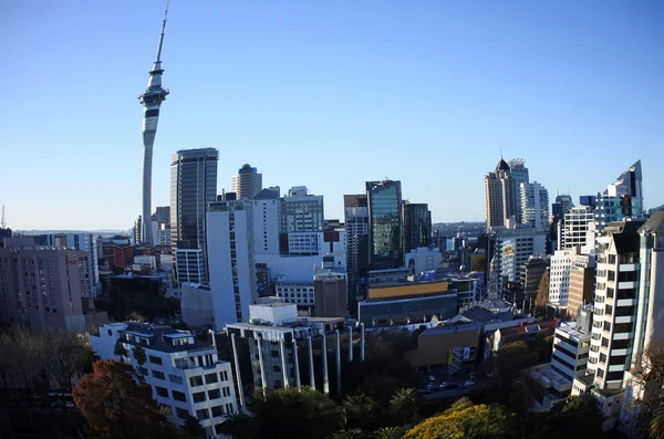 Aerial view of Auckland CBD skyline with fish eye effect. — Stock Photo, Image