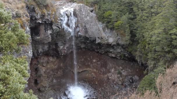 Mangawhero wchodzi w Tongariro National Park — Wideo stockowe