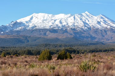 Landscape of Mount Ruapehu in Tongariro National Park  clipart