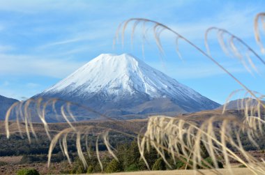 Tongariro National Park Mount Ruapehu clipart