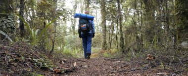 Kadın yağmur ormanında hiking uzun yürüyüşe çıkan kimse