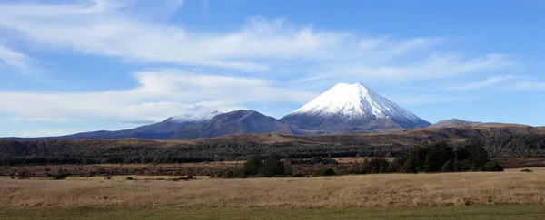 Mount Ngauruhoe ve Mount Tongariro panoramik manzara — Stok fotoğraf