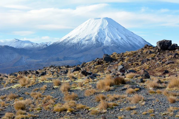 Paysage du mont Ngauruhoe dans le parc national des Tongariro — Photo