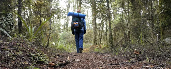 Kvinnan vandrare vandring i regnskogen — Stockfoto