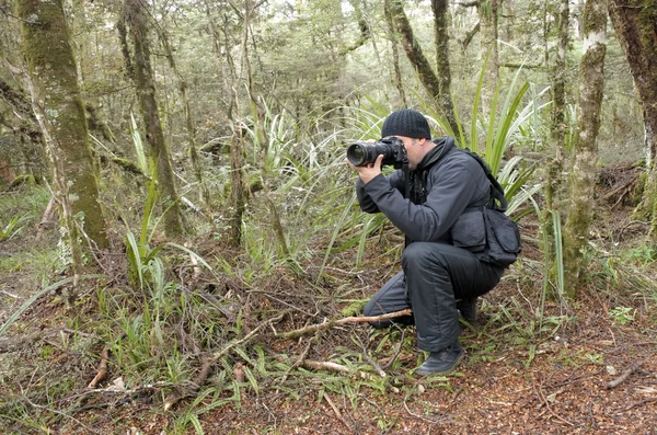 Professionell natur, vilda djur och resor fotograf — Stockfoto