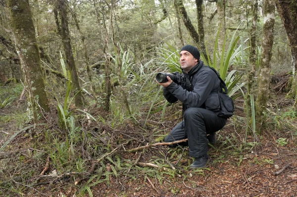 Natura professionale, fauna selvatica e fotografo di viaggio — Foto Stock