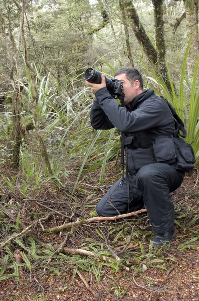 Natura professionale, fauna selvatica e fotografo di viaggio — Foto Stock