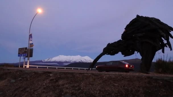 Giant Kiwi scolpture under in Tongariro National Park — Stock Video