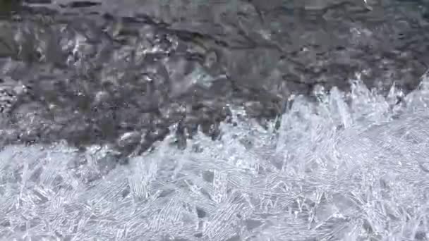 Ice water crystals on river bank — Stock Video