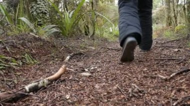 Yağmur ormanlarında hiking adam uzun yürüyüşe çıkan kimse
