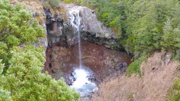 Mangawhero wchodzi w Tongariro National Park — Wideo stockowe