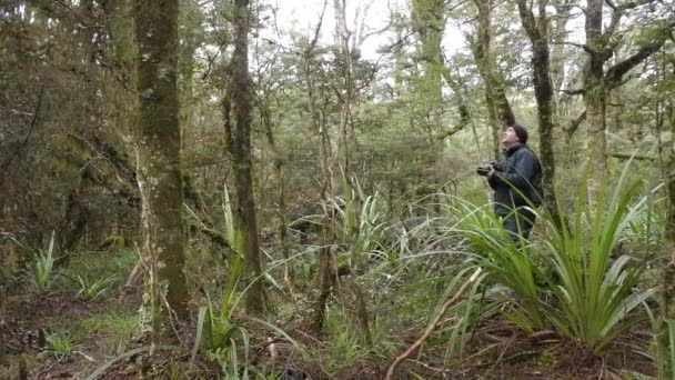 Natura professionale, fauna selvatica e fotografo di viaggio — Video Stock