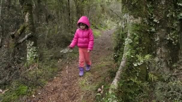 Bambina persa in una foresta pluviale — Video Stock