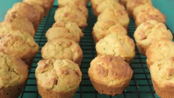 Bäckerhand holt einen Mini-Muffins-Kuchen aus Kühlregal — Stockvideo