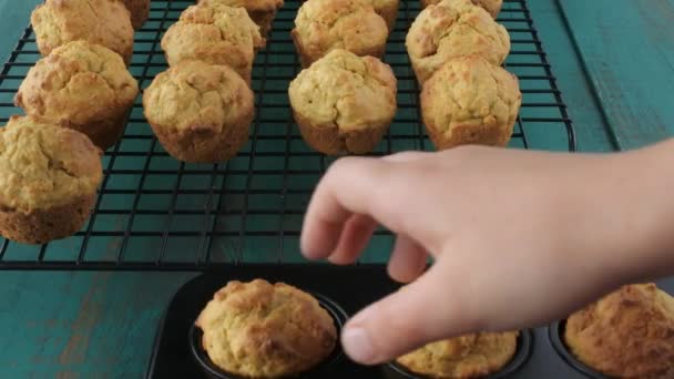 Niño mano poner mini pasteles de magdalenas en el estante de enfriamiento 4k — Vídeo de stock