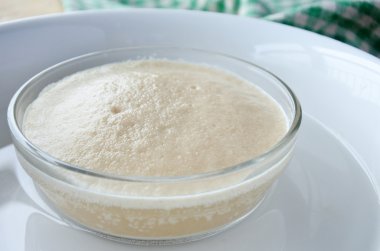 Sıcak suda aktif Maya