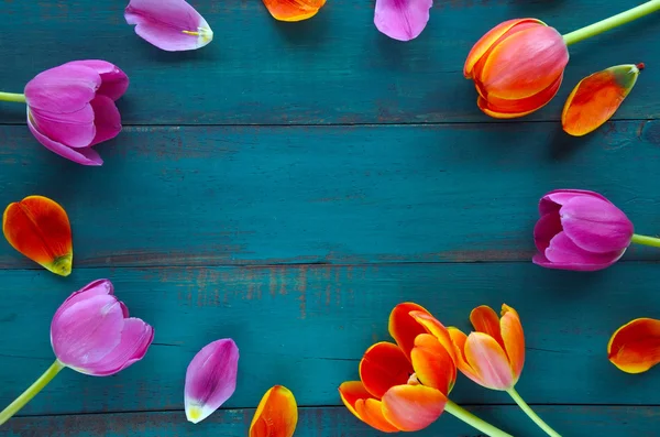 Ramo de flores de tulipán surtido en forma ovalada — Foto de Stock