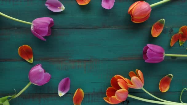 Tulipán květy kytice zachytil oválného tvaru pro váš text