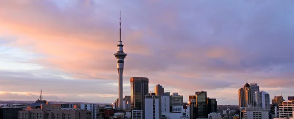 De skyline van Auckland in de schemering — Stockfoto