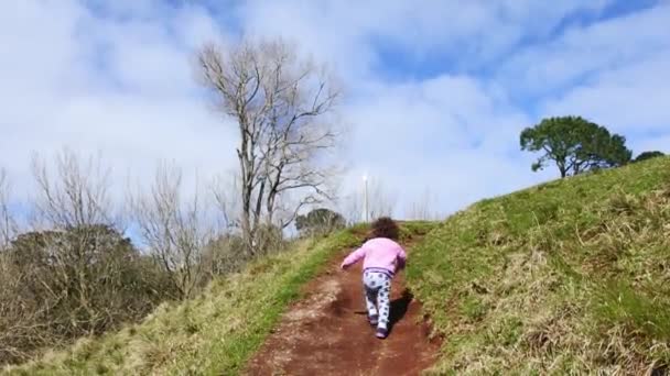 Petite fille grimper sur une colline — Video