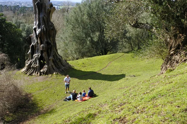 Familie met een picknick in Cornwall Park, Auckland, Nieuw-Zeeland — Stockfoto