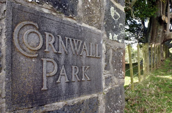 Cornwall Park i Auckland New Zealand - Stock-foto