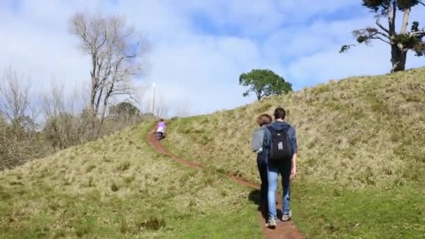 オークランド コーンウォール パークで つの木の丘で 2016 Hikers オークランド ニュージーランドで最も古く 最も人気のある公園の一つです — ストック動画