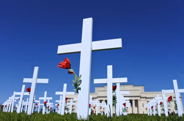 Wit kruist Auckland memorial museum — Stockfoto