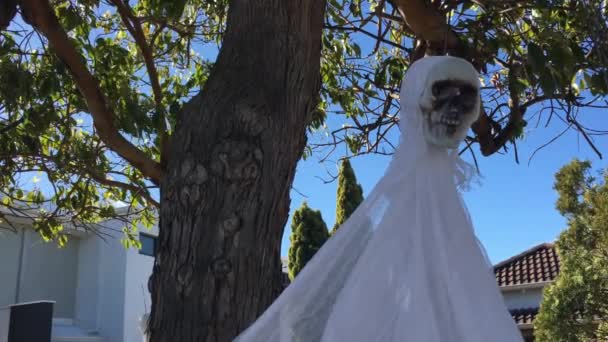 ハロウィーンの休日に木に掛けられたハロウィーンのスケルトンゴースト — ストック動画