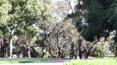 Genç anne kızına park yolunda bisiklet sürmeyi öğretiyor.