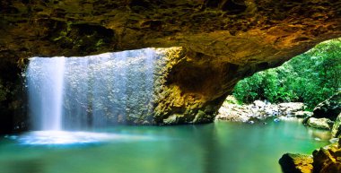 Queensland Avustralya 'daki Springbrook Ulusal Parkı' ndaki Doğa Köprüsü kapalı mağarasında uzun süre kalmıştır..