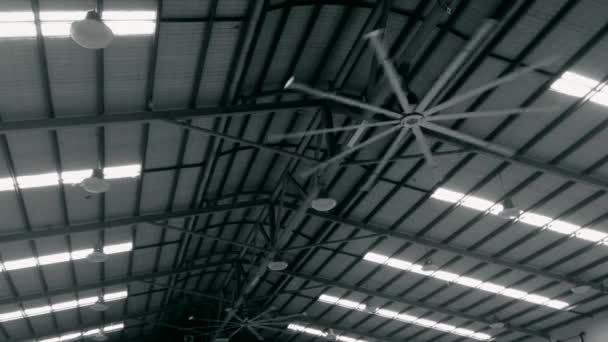 Grandi Ventilatori Soffitto Rotanti Tetto Impianto Industriale — Video Stock