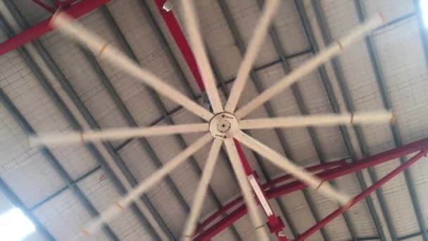 Large Industrial Ceiling Fan — Stock Video