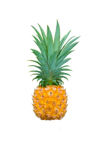 Stor Ananas Ananas Comosus Isolerad Vit Bakgrund — Stockfoto