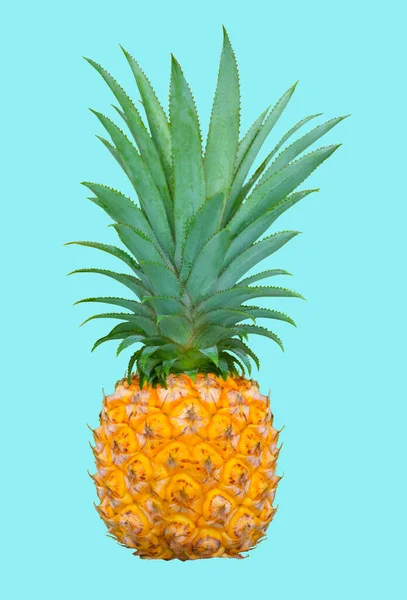 Büyük Ananas Ananas Comosus Beyaz Arka Planda Izole Edilmiştir Nsan — Stok fotoğraf