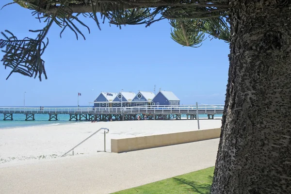 Busselton Grudnia 2020 Odrzutowiec Busselton Busselton Jetty Najdłuższy Drewniany Pomost — Zdjęcie stockowe