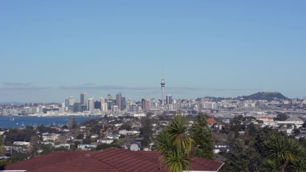 Auckland city skyline panoramic landscape view — Stock Video