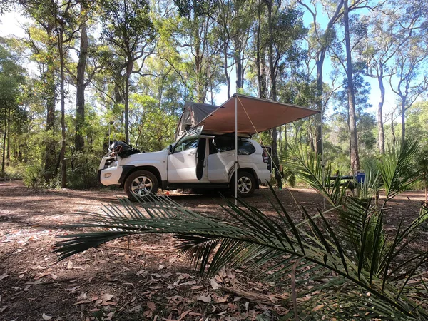 Veículo Recreativo Com Barraca Telhado Acampamento Uma Floresta Austrália Ocidental — Fotografia de Stock