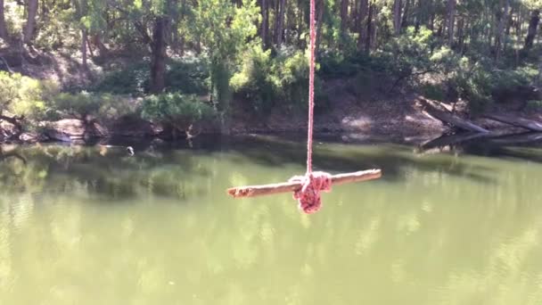 Altalena Albero Vuota Nella Piscina Acqua Perth Hills Australia Occidentale — Video Stock