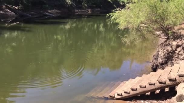 Escadas Madeira Que Levam Uma Piscina Água Perth Hills Austrália — Vídeo de Stock