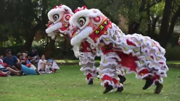 Perth Jan 2021 Crowd Assistir Dança Leão Chinês Geralmente Realizada — Vídeo de Stock