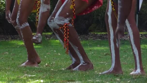 2021年6月26日 澳大利亚原住民男子在澳大利亚日庆祝活动中预演了传统舞剧 澳大利亚原住民的舞步经常模仿澳大利亚动物的行为 — 图库视频影像