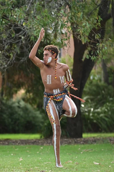 Perth Jan 2021 Aboriginska Australiensare Man Dansar Traditionell Dans Australien — Stockfoto