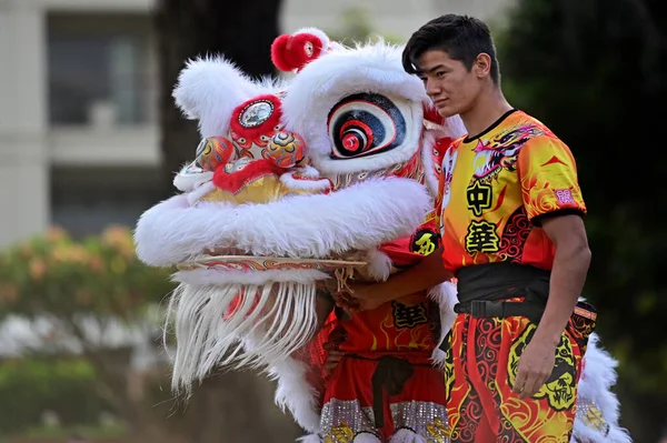 Perth Jan 2021 Danser Lion Chinois Habituellement Joué Pendant Nouvel — Photo