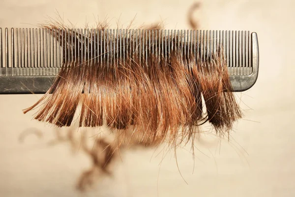 Gros Plan Cheveux Taillés Laissés Sur Peigne Coiffeur — Photo