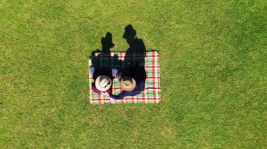 Yeşil çimen tarlasında piknik paspasında oturan çiftin hava görüntüsü.