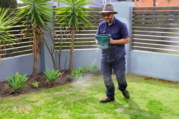 Australian Gardener Spreading Fertilizer Grass Lawn Home Front Back Yard — Stock Photo, Image