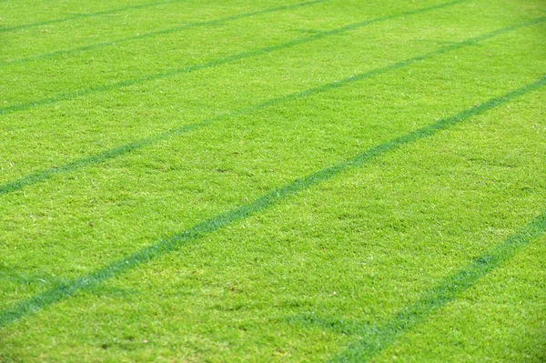 Auf Der Graslaufbahn Freien Abstrakter Hintergrund Und Textur — Stockfoto