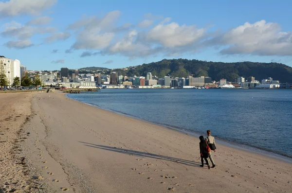 Oriental bay in Wellington New Zealand — Stock Photo, Image