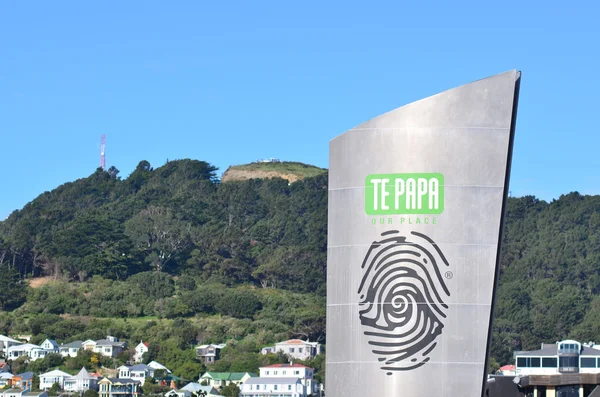Музей Новой Зеландии Те Папа Тонгарева — стоковое фото